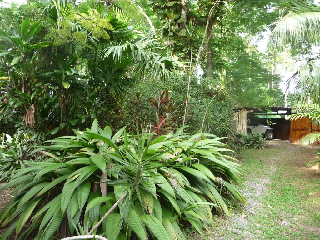 Topos Tree House Cahuita Kültér fotó