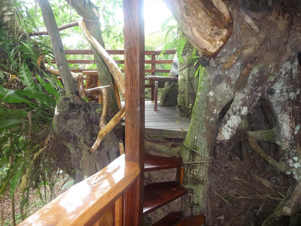 Topos Tree House Cahuita Kültér fotó