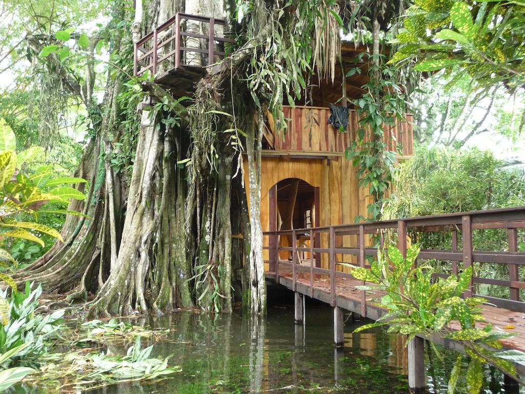 Topos Tree House Cahuita Kültér fotó