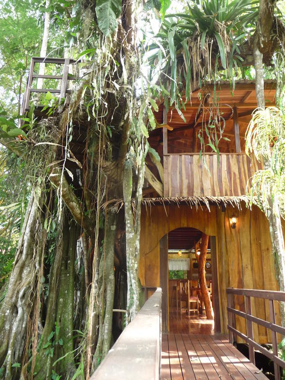 Topos Tree House Cahuita Szoba fotó