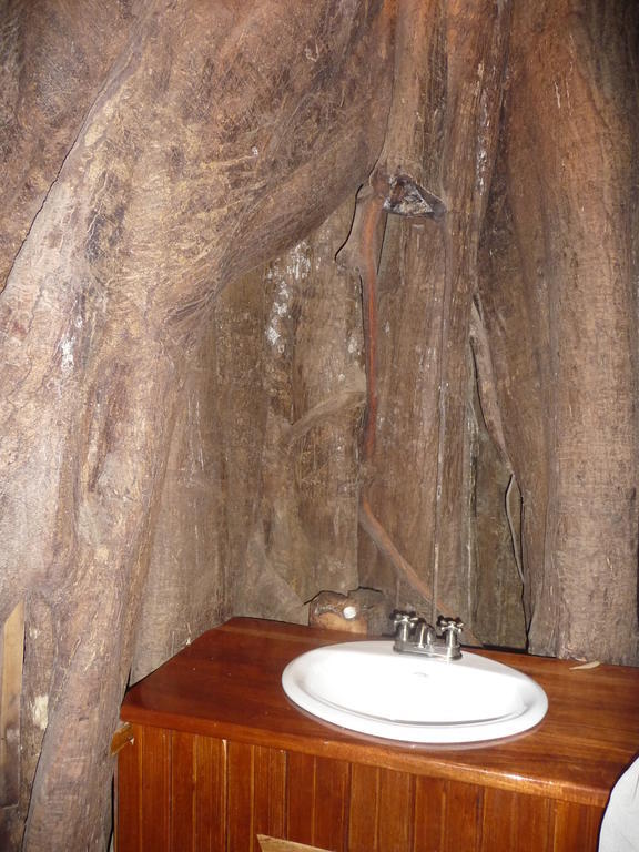 Topos Tree House Cahuita Kültér fotó