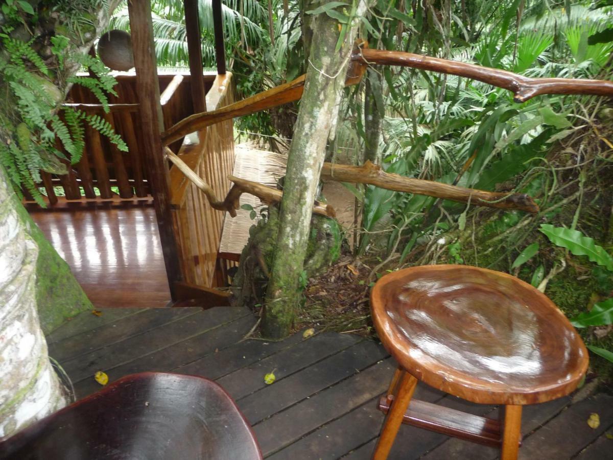 Topos Tree House Cahuita Kültér fotó
